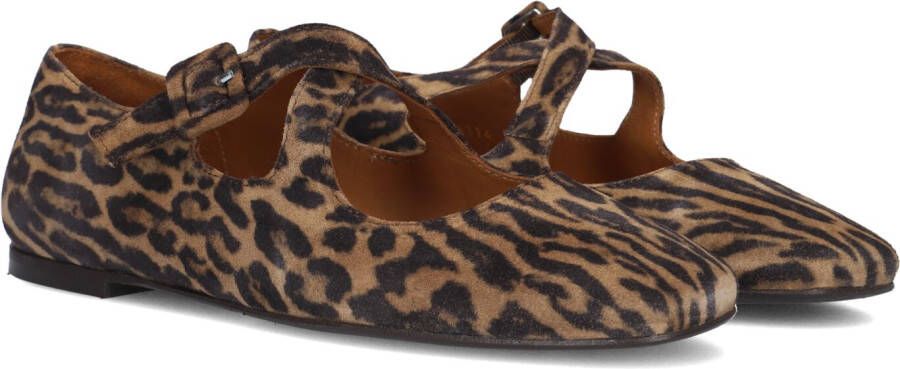 BILLI BI Ballerina Dames A8314 Maat: 36 Kleur: Bruin