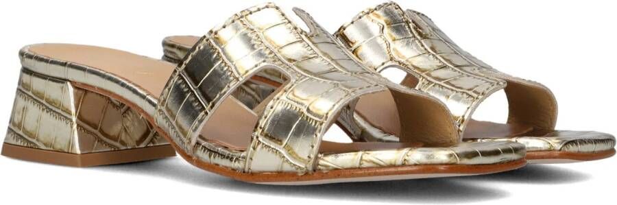 Notre-V As-16621 Hakken Dames Goudkleurig